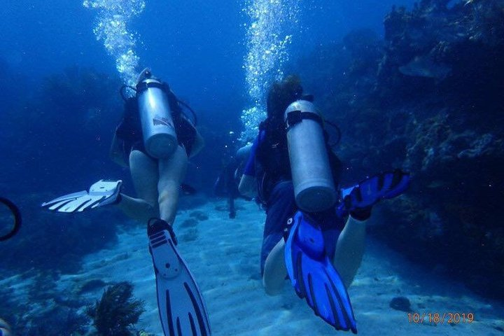 Half Day Scuba Diving Trip in the Florida Keys - Photo 1 of 19